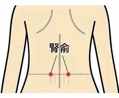 肾俞的准确位置-肾俞的准确位置及视频